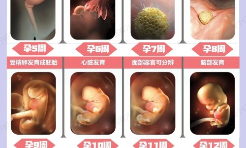 2016年羊宝宝取名大全网- 2016年羊宝宝取名大全男孩知识,分享2015羊宝宝取名
