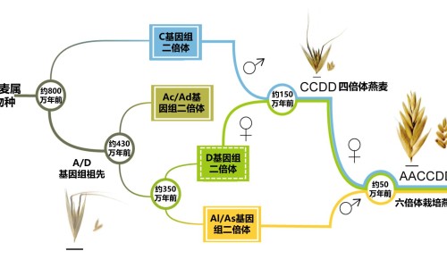 2016属羊女孩稀少名字-2016年羊宝宝取名大全网- 2016年羊宝宝取名大全男孩知识,分享2015羊宝宝取名